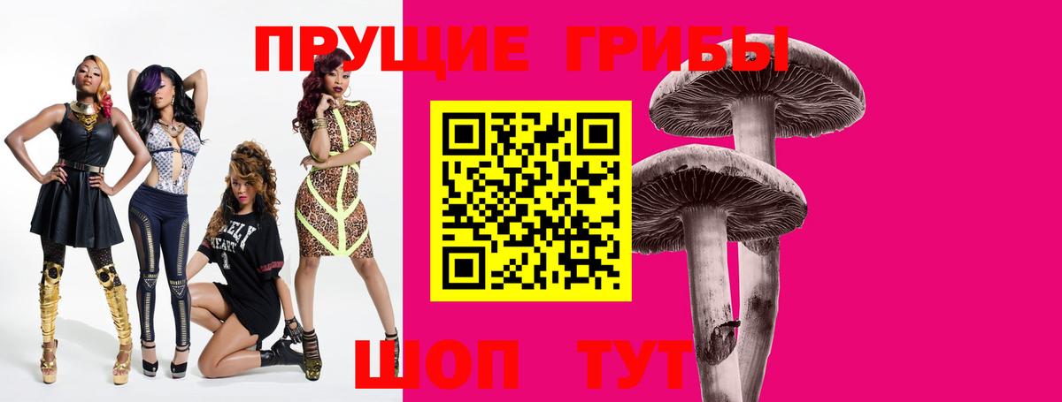 Галлюциногенные грибы мухоморы Будённовск